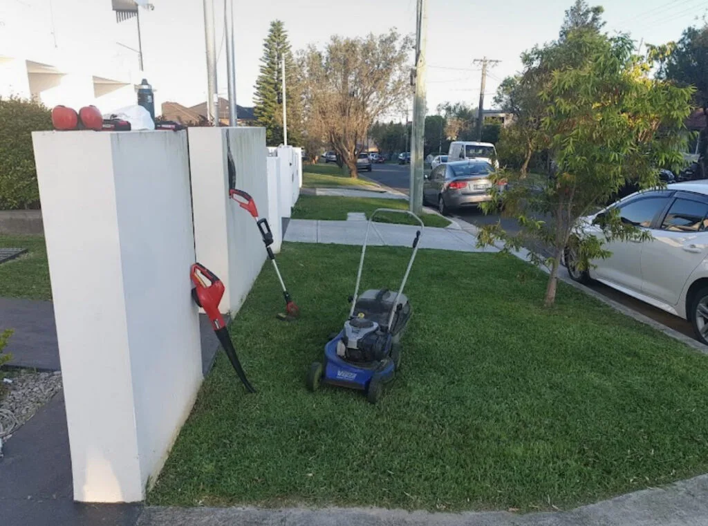 yard and lawn maintenance