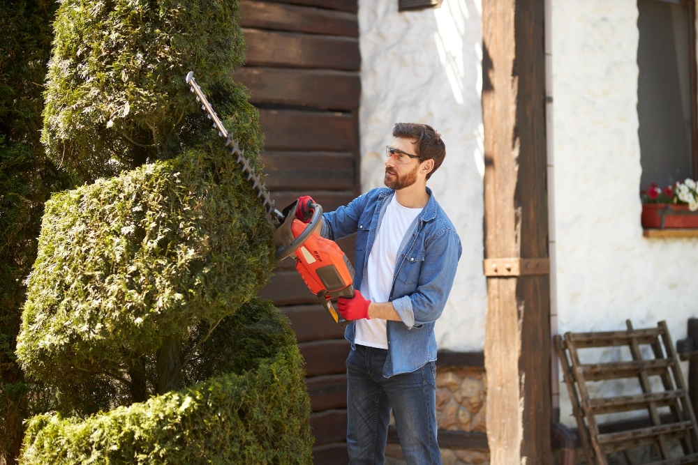 Hedge Trimming and Pruning-1