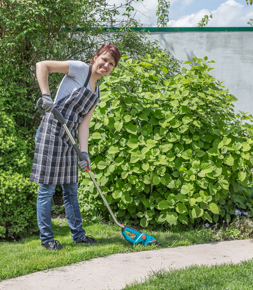 Garden Cleanups & Garden Maintenance2