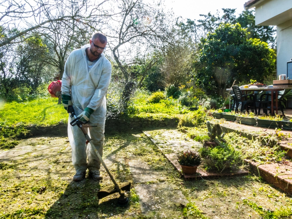 Garden Cleanups & Garden Maintenance-b