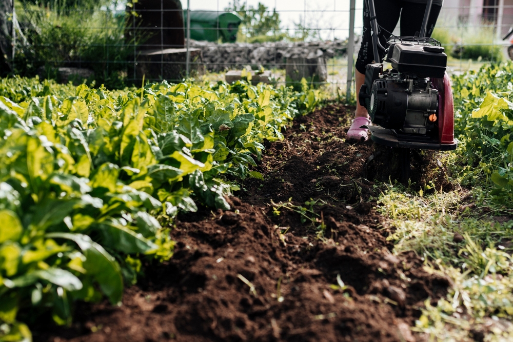 Mulching-1