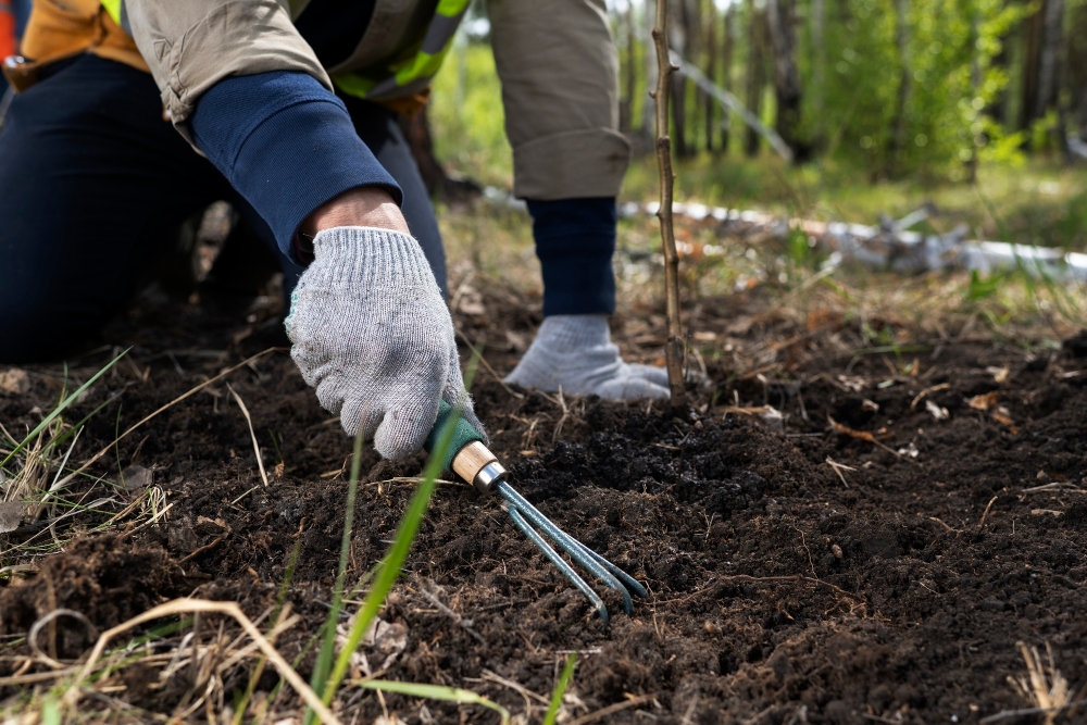 Garden Bed Making