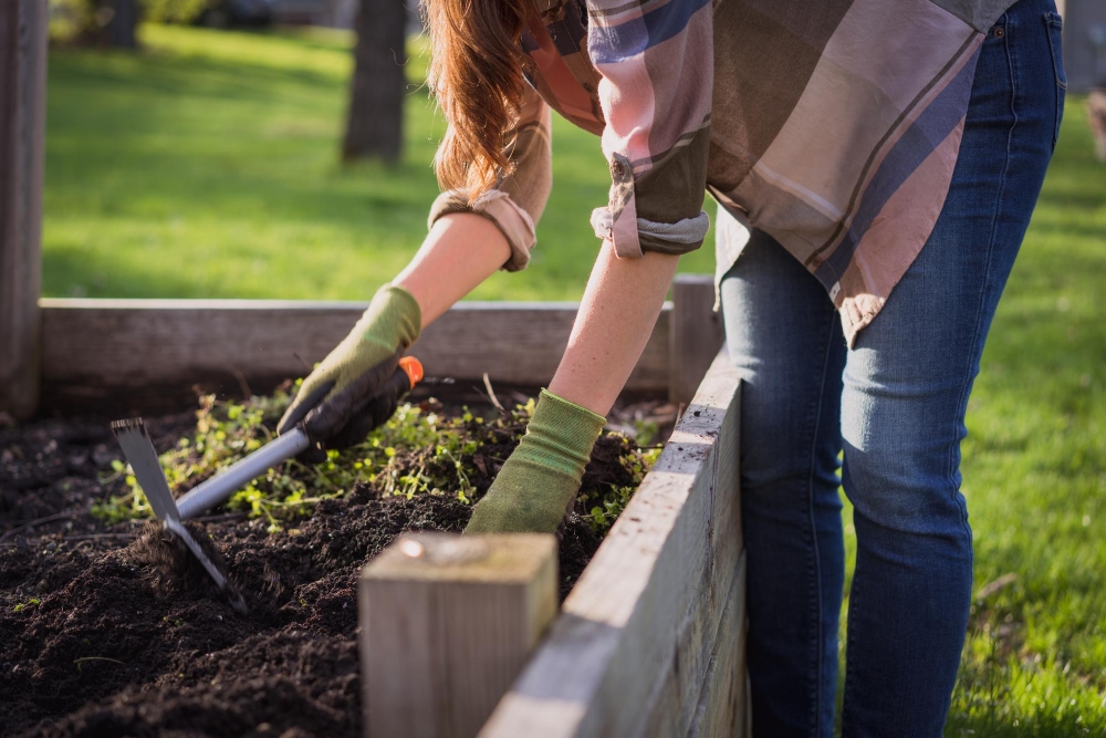 Garden Bed Making