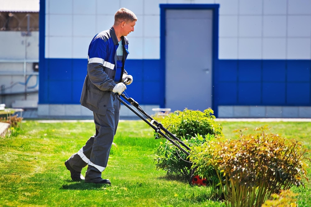 Commercial & strata services