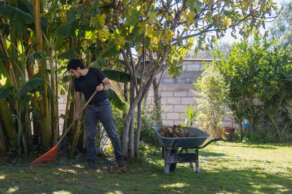 Garden Cleanups & Garden Maintenance-a