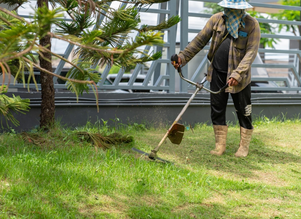 Garden Cleanups & Garden Maintenance4