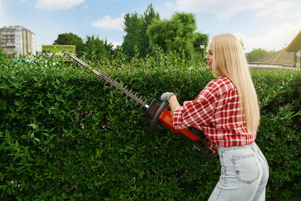 Hedge Trimming and Pruning-2