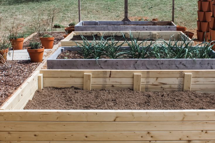 Garden Bed Making